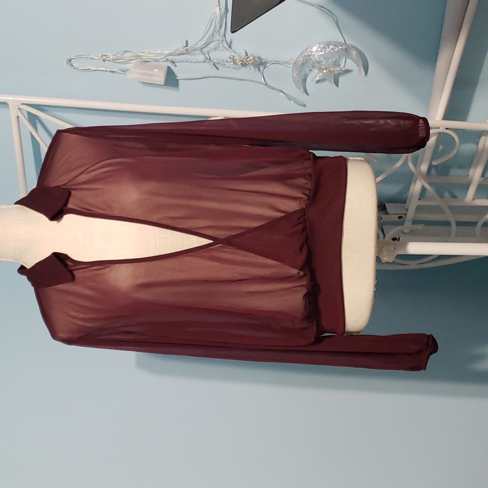 Express Sheer Deep-V Top